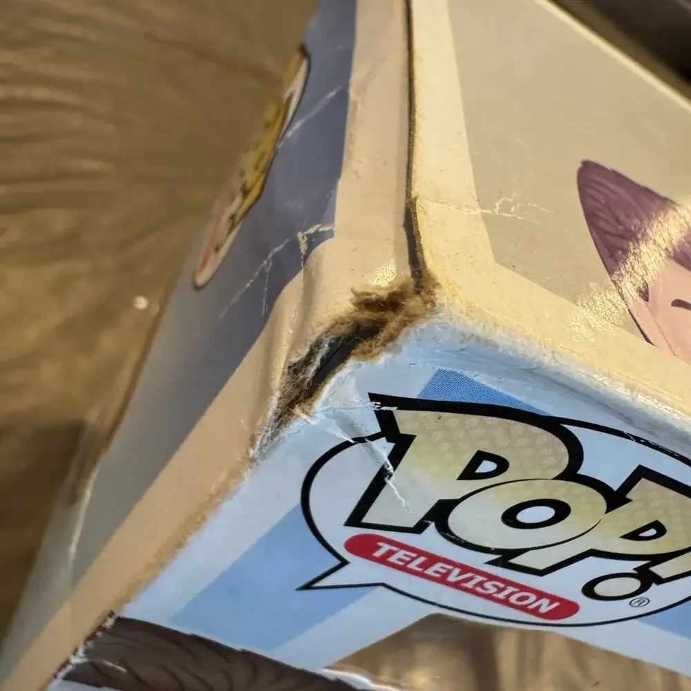 Bud Bundy Funko Pop 691 (listing #1) - Picture 8 of 9